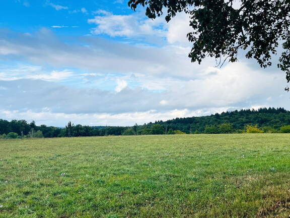 22-09-10 17-59-08 1976